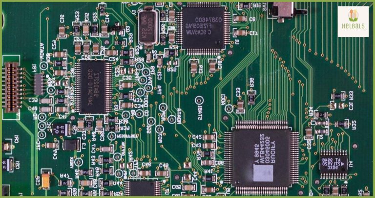 Cómo mejorar tu sistema inmunológico a través de la nutrición Cómo mejorar tu sistema inmunológico a través de la nutrición