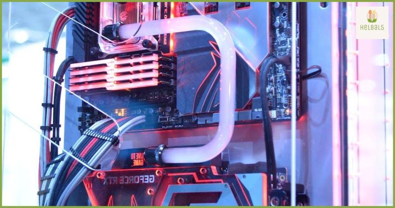 Cómo mejorar tu sistema inmunológico a través de la nutrición Cómo mejorar tu sistema inmunológico a través de la nutrición