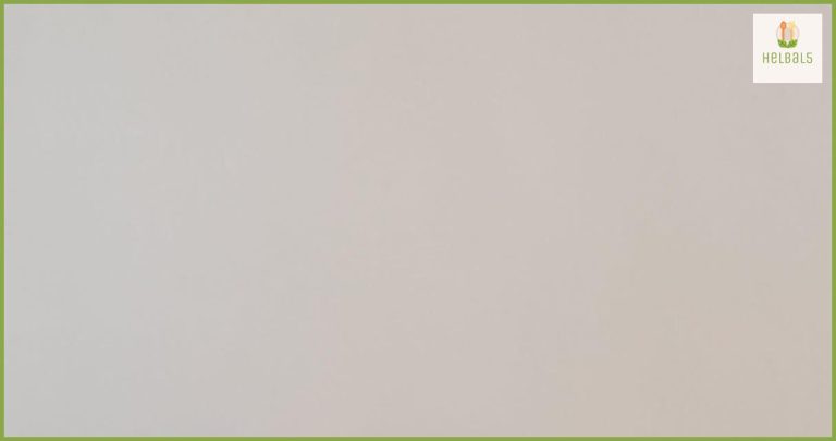 La importancia de la nutrición en el cuidado del sistema endocrino La importancia de la nutrición en el cuidado del sistema endocrino