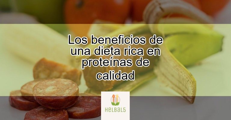 Los Beneficios De Una Dieta Rica En Proteínas De Calidad Actualizado Noviembre 2024 1178