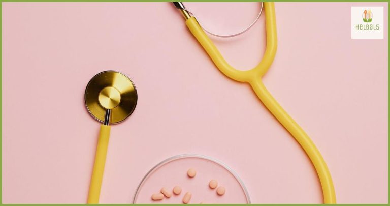 Los increíbles beneficios de los probióticos y los prebióticos Los increíbles beneficios de los probióticos y los prebióticos