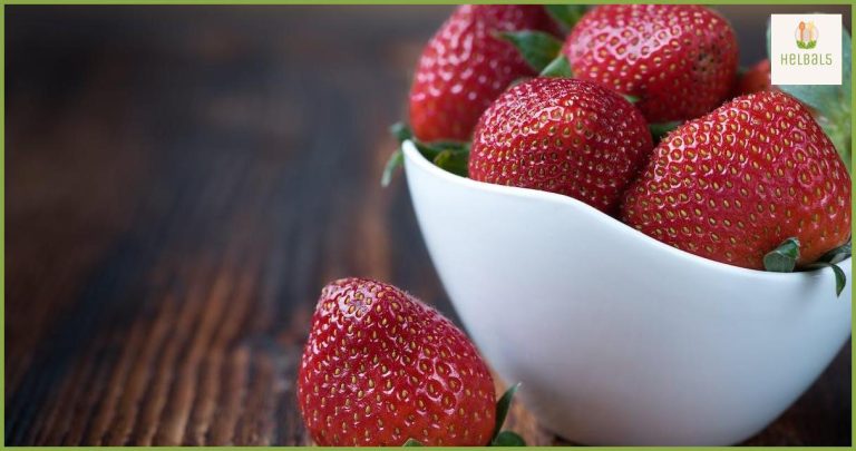 Los mejores alimentos para cuidar tu sistema nervioso central Los mejores alimentos para cuidar tu sistema nervioso central