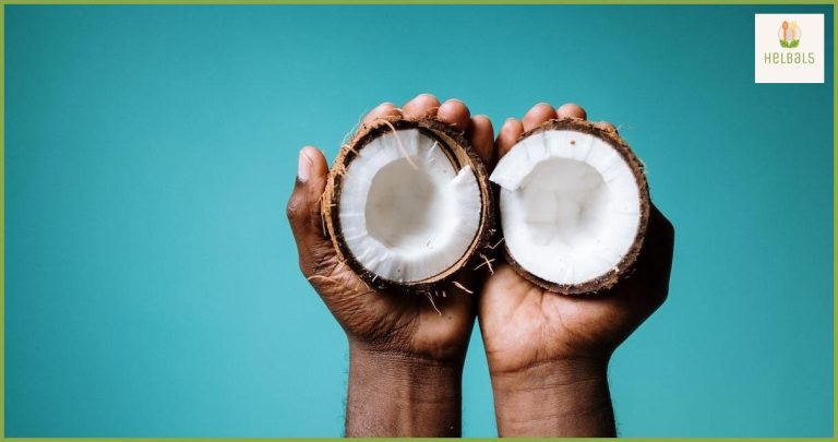 Los mejores alimentos para cuidar tu sistema nervioso central Los mejores alimentos para cuidar tu sistema nervioso central